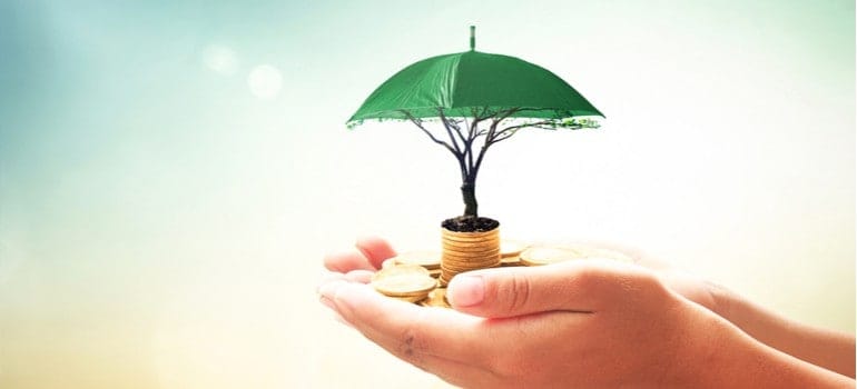 Marketing is an Investment Not an Expense Marketing is an Investment Not an Expense